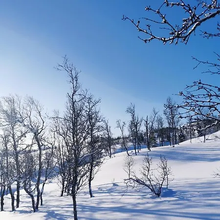 Domek letniskowy Korgfjellet Fjellstue As Korgen