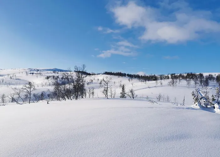 Korgfjellet Fjellstue As *