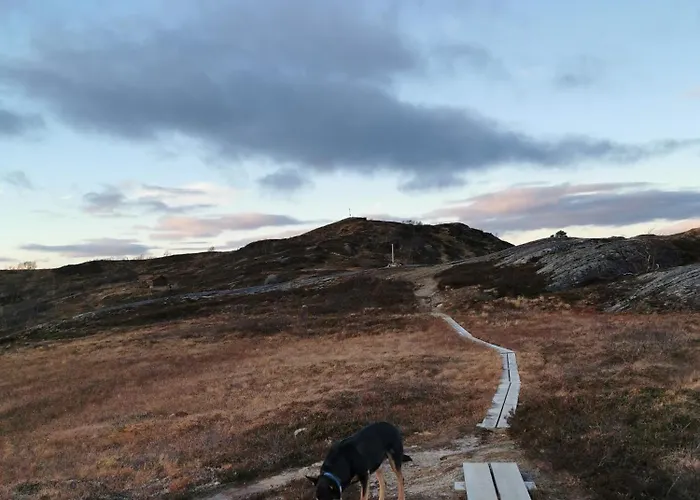 Korgfjellet Fjellstue As *