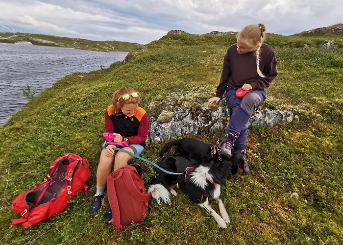 Korgfjellet Fjellstue As * Korgen