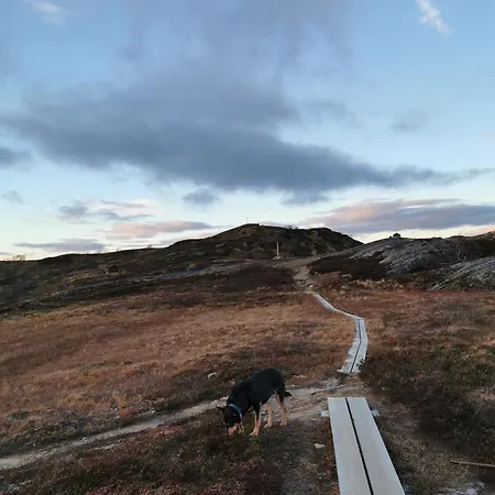Korgfjellet Fjellstue As *