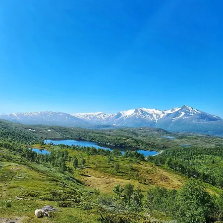 Korgfjellet Fjellstue As Lodge *