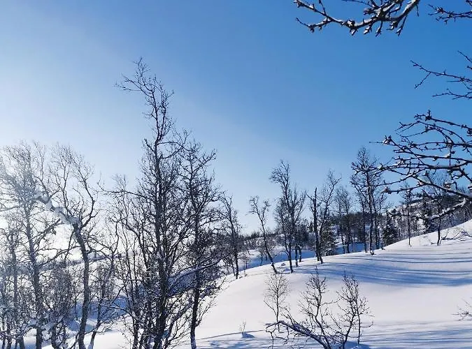 אכסניה Korgfjellet Fjellstue As Korgen